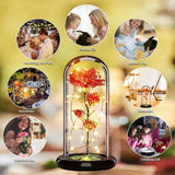 Eternal Rose -CYGlobal ™ -  Box Flower  with message